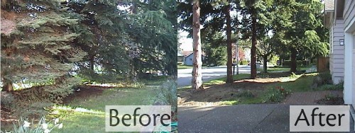 before and after science