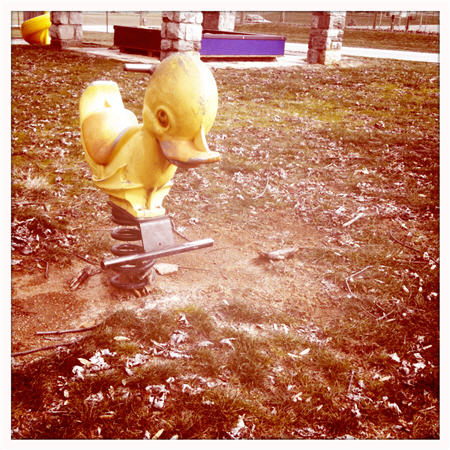 ridingduck
